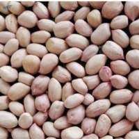 Arachides de qualité supérieure Java, saveur riche et audacieuse, texture croquante, torréfaction experte, goût naturel, 38, 50 unités/once, durée de conservation de 6 à 12 mois - Product Image 3