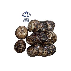 เปลือกหอยจำนวนมากจากชายหาดในเวียดนาม - Product Image 5