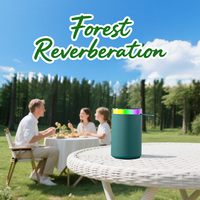 Haut-parleur portable cylindrique pour fête, lumière RGB d'usine, 5-10W, pour téléphone portable, ordinateur