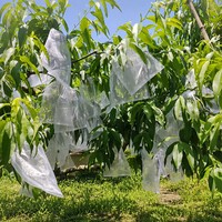 Sac de protection en filet personnalisé pour fruits, anti-insectes, anti-oiseaux, respirant, avec cordon de serrage, pour nèfles, raisins, pêches, myrtilles