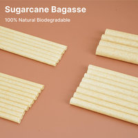 Pailles à boire jetables compostables en bagasse de canne à sucre écologiques, sans BPA, à base végétale, pour les fêtes