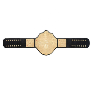 Ceintures de championnat personnalisées en alliage chaud pour la boxe Taekwondo karaté MMA Judo Kung Fu Grappling & Wrestling - Product Image 5