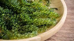 PREMIUM SEA <b>GRAPES</b> CLEAN LABEL PLANT BASED SUPERFOOD FOR IMMUNE SUPPORT AND WELLNESS - Product Image 2