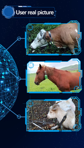 Ahguep thời gian thực <span class=keywords><strong>GPS</strong></span> không thấm nước Cổ áo Tracker cho gia súc cừu 4 gam Mạng Android OS từ fction GSM GPRS GLONASS AGPS - Product Image 6