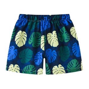 Pantalones cortos deportivos de Hip Hop 2025 para hombre, pantalones cortos de secado rápido con forro de malla sólida, bañadores de surf, cintura elástica, Traje de baño de playa clásico corto - Product Image 6