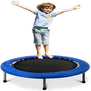 Buy Premium Grade Fitness 40 Inch Mini Trampoline for Adults and Kids, Rebounder Trampoline, with Padding & Springs