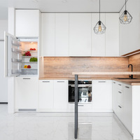 MEGA fokus pada desain Kabinet dan produksi lemari dapur unit kustom pabrik mebel kecil seluruh set kabinet dapur