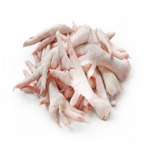 ขาไก่แช่แข็งแบบแห้ง ขายส่งจำนวนมากจากบราซิล สำหรับผู้ซื้อสัตว์ปีก - Product Image 3