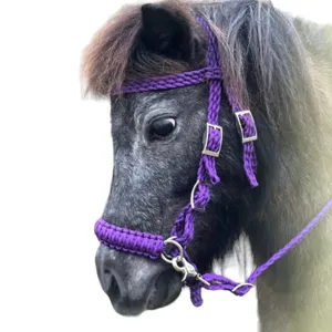 Bestseller High On Demand Bitless Bridle Horse Tack Miniatur Pferd Hack amore Heads tall und Brust kragen bereit zu Lager