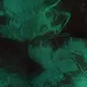 Nueva llegada MMA Rash Guard transpirable y venta caliente disponible a un precio - Product Image 6