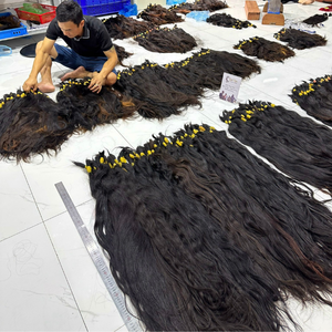 Extensiones de Cabello Humano Vietnamita Sun Hair Company Onda Natural de un Solo Donante Sin Procesar Cutícula Completa - Product Image 1