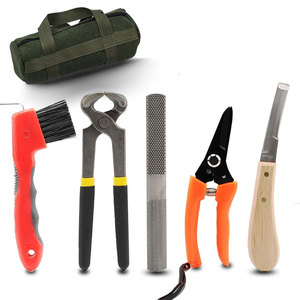 Kit de Herramientas de Herrador Reutilizable, Juego Completo de Instrumentos de Acero Inoxidable para el Cuidado de Cascos, Kit de Herrador Profesional para el Mantenimiento de Cascos de Caballos - Product Image 1