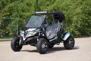 รถออฟโรด Trailmaster Cheetah 200X UTV/โกคาร์ท ขนาดเต็มสำหรับเยาวชนและผู้ใหญ่ เกียร์อัตโนมัติ ขับเคลื่อน 4 ล้อ ระบบกันสะเทือนปรับปรุงใหม่ ได้รับการรับรองมาตรฐาน EPA และ EEC - Product Image 5