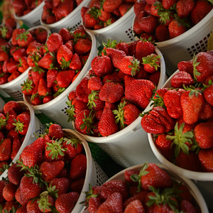 Fraises fraîches de qualité supérieure pour la vente en gros Meilleur prix Achetez maintenant Fruits frais sucrés naturels en stock à vendre - Product Image 5