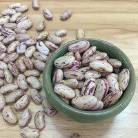 Haricots pinto séchés Meilleur prix Haricots rouges tachetés
