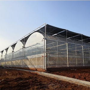 Serre à film multi-spans à technologie intelligente pour l'agriculture commerciale avec support professionnel pour la planification de projets - Product Image 3