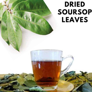Hojas de Guanábana orgánicas al por mayor-Extracto de hoja de Graviola de alta calidad/Sra. Jessi - Product Image 6