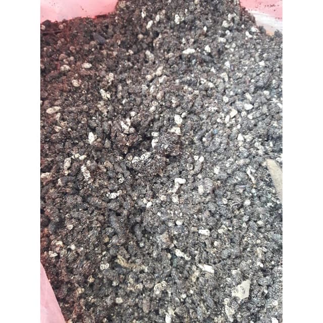 Bat Guano Dnger - 100 % rein, 500 kg Jumbo Sack aus Vietnam