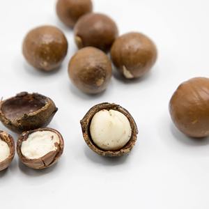 Nueces de Macadamia de alta calidad, suministro de nueces de Macadamia naturales a granel de primera calidad para el comercio mayorista global - Product Image 3