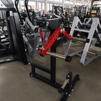 Machine commerciale de levée latérale assise-debout, pour développement des deltoides médiaux, avec poulie supérieure double rouge pour les bras, tube carré en acier de 2,5 mm, plaque en acier L