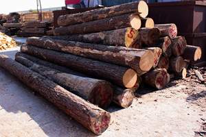 ไม้เนื้ออ่อนและไม้แข็งทนทานสำหรับใช้ในอุตสาหกรรมการค้าและใช้ในครัวเรือนตัดสะอาดและเสร็จเรียบ - Product Image 5