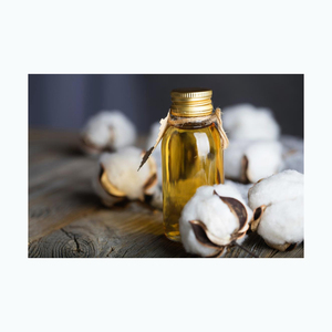 ซื้อน้ำมันเมล็ดฝ้ายบริสุทธิ์สกัดจากกรีนวูด (Gossypium SPP) - Product Image 5