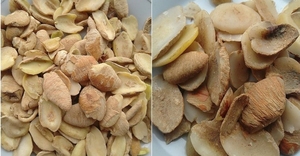 Noix d'Ogbono Séchées de Qualité Supérieure, Vente Chaude, Emballage de 25 KG, Durée de Conservation de 2 Ans, Idéales pour la Transformation Alimentaire et la Vente en Gros - Product Image 5