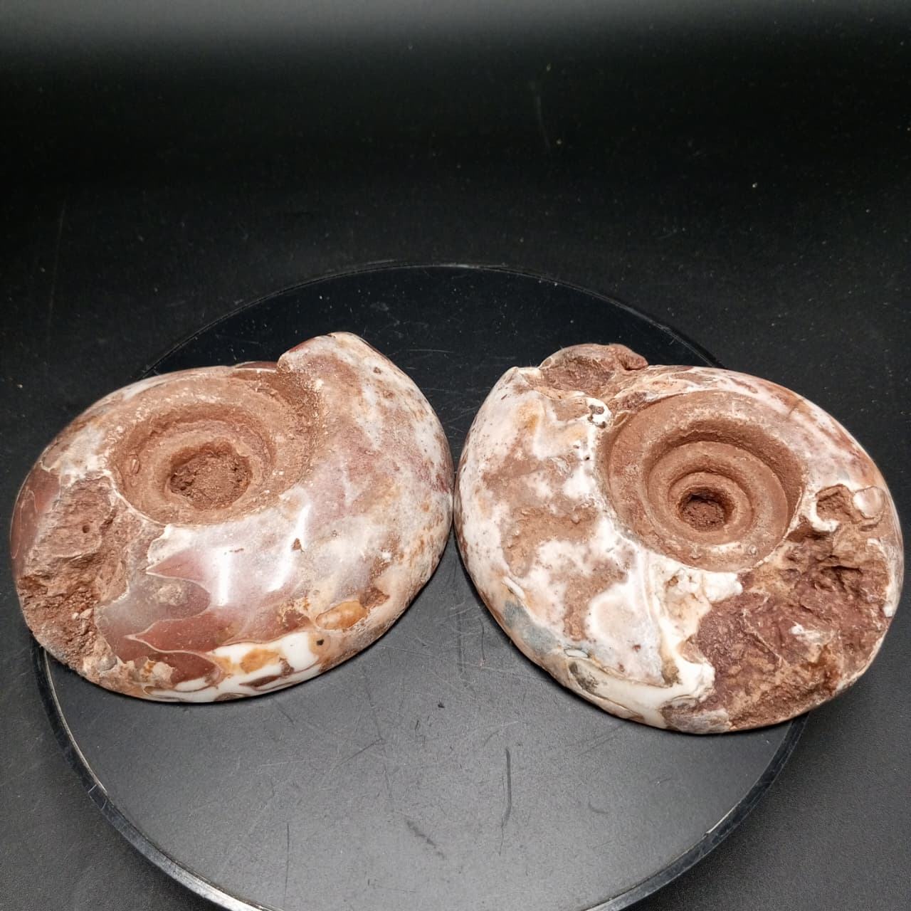 สีน้ำตาล