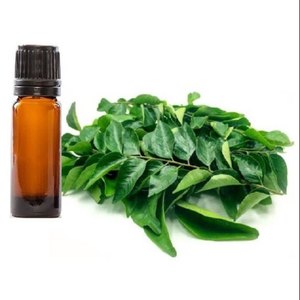 OEM Wholesale Curry Leaf <b>Essential</b> <b>Oil</b> Bulk Murraya Koenigii Extract <b>Oil</b> for Cosmetics, Hair <b>Oil</b>, Shampoos, Serums & Soap Making - Product Image 1
