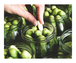 Encurtidos de pepino de buena calidad, pepino en escabeche enlatado, pepino en conserva, pepinillos salados, fruta enlatada, fruta enlatada mixta - Product Image 2