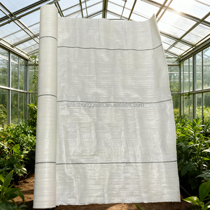 Esterilla de cubierta de tierra de hierba blanca para invernadero, tela de PE <span class=keywords><strong>PP</strong></span> tejida para jardín, barrera de hierba, tela de paisaje, alfombrilla de Control de malezas - Product Image 1