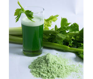 POUDRE DE CÉLERI NATUREL DÉSHYDRATÉ/PREMIUM GRADE/POUR ASSAISONNEMENT ET TRAITEMENT ALIMENTAIRES - Product Image 1