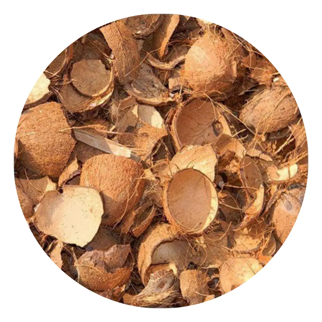 Fabricant vietnamien de coquilles de noix de coco séchées brutes/coquilles de noix de coco cassées pour la production de charbon de bois au Vietnam / Lima + 84346565938