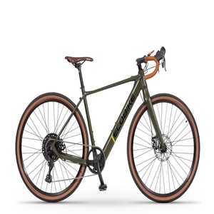 Vélo électrique léger pour gravier Ecobikes Forest, livraison directe - Product Image 1