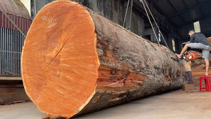 Padauk Grumes Padauk Bois Padauk Grumes à vendre - Product Image 5