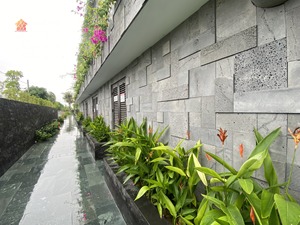 Carreaux de pierre de latérite grise de qualité supérieure Tailles personnalisées et finition texturée pour les cuisines modernes dans les villas et les appartements - Product Image 6