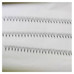 Service OEM d'extensions de cils naturels préfabriqués 12D du Vietnam avec emballage de plateau de beauté Vente en gros - Product Image 1