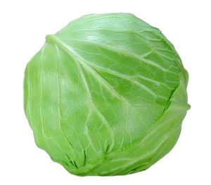 Vente de chou frais de haute qualité la plus vendue/approvisionnement d'usine nouvelle culture origine britannique 12 mois durée de conservation 0.5kg - Product Image 4