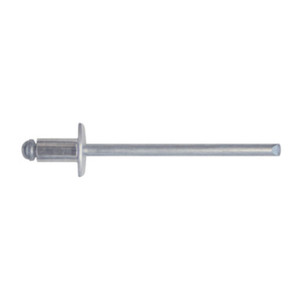 Confezione di Rivetti Allungabili 3,0x8 da 1000 pz. - Product Image 1
