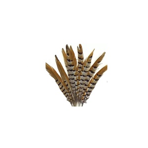 Plumes de faisan et d'autruche Reeves Amherst Grade 1, blanches, teintées, en forme de boa, pour décorations personnalisées de mariages et fêtes à domicile - Product Image 4