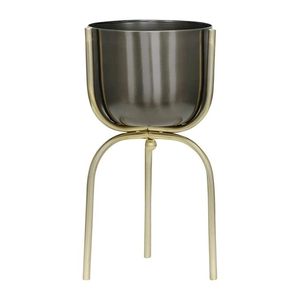 Negro mate Hidrata tus plantas con estilo La belleza de las regaderas Espolvorea y crece - Product Image 4