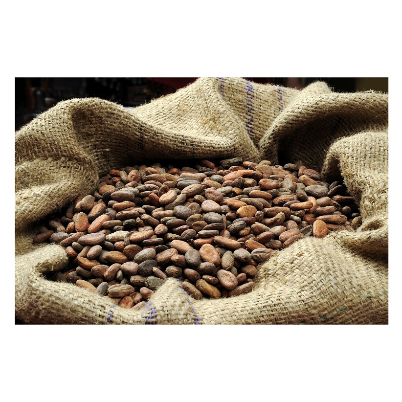 Ariba Aka Cacao бобы сушеные сырые какао-бобы