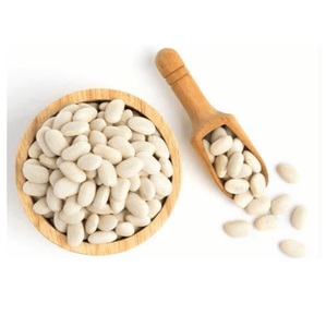Vente en gros 100% Haricots blancs biologiques de qualité supérieure Meilleure qualité en vrac à bas prix - Product Image 2