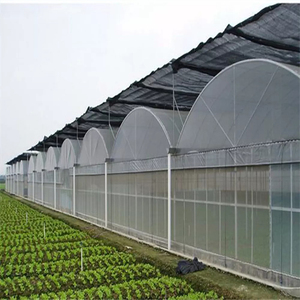 Energy-Efficient Modern Multi-Span Single Layer Large <b>Plastic</b> Commercial Film Greenhouse for Sustainable Growers - Product Image 1