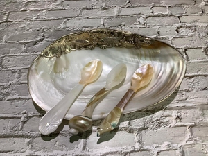 Cuchara de madre perla auténtica Cuchara de caviar Cuchara de concha marina para uso de alta gama - Product Image 5