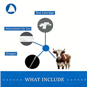 Kit de <span class=keywords><strong>test</strong></span> de <span class=keywords><strong>grossesse</strong></span> précoce bovin vétérinaire avec or colloïdal, kit de <span class=keywords><strong>test</strong></span> PAG, <span class=keywords><strong>test</strong></span> de diagnostic rapide - Product Image 2