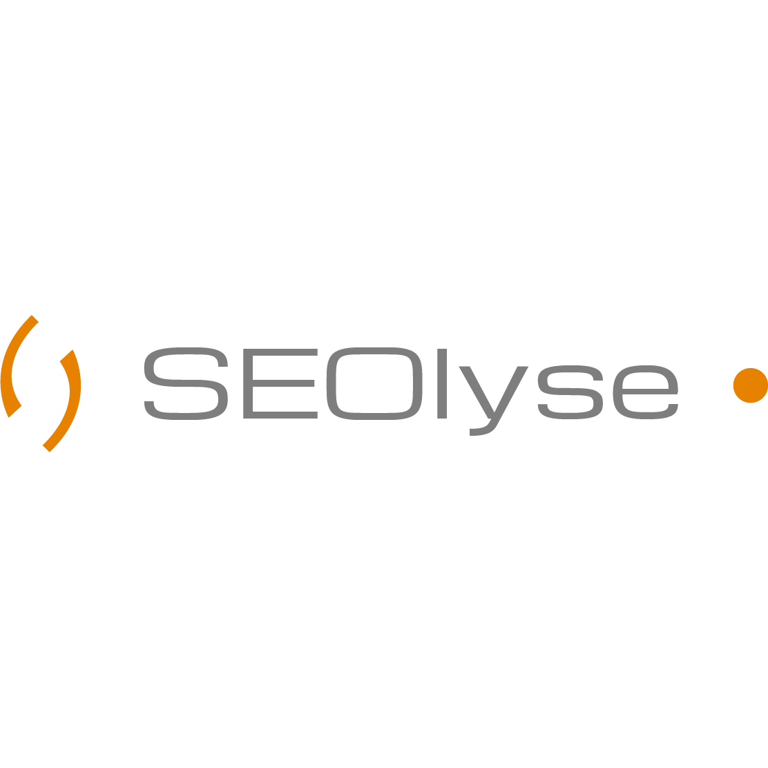 SEOlyse Agentur für Digital Marketing Tobias Pellny logo