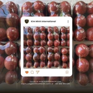 Maracuyá Fresca de Vietnam de Primera Calidad para Venta al por Mayor - KIM MINH INTERNATIONAL - Product Image 2