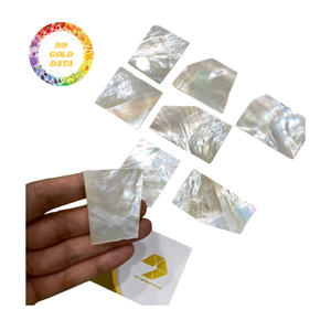 Vente chaude Plateau en coquille de perle polie fait à la main Élégant Artisanat naturel unique Plateau à caviar en coquillage - Product Image 1