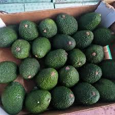 Aguacate Hass de California orgánico fresco al por mayor - Product Image 5